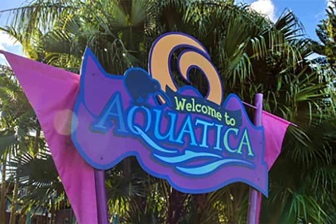 Aquatica Orlando, do SeaWorld, torna-se o primeiro parque aquático certificado para o autismo em todo mundo
