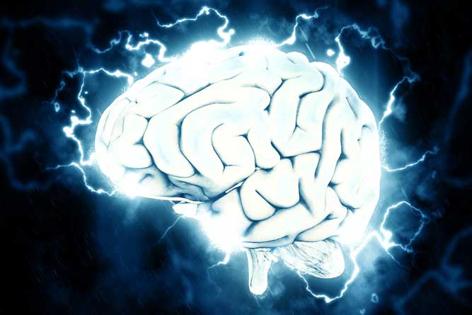 Sete elementos necessários à saúde de seu cérebro