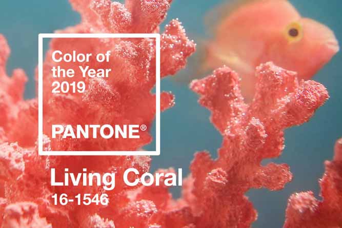Living Coral é a cor de 2019, segundo a Pantone