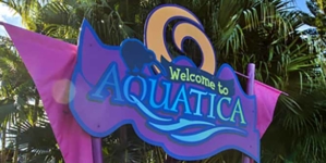 Aquatica torna-se o primeiro parque aquático certificado para o autismo do mundo