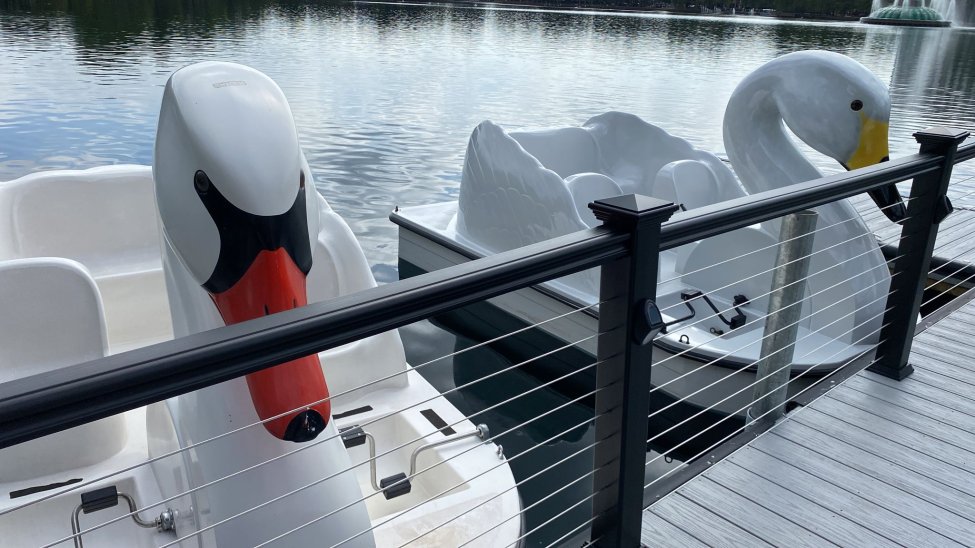 Doca de barcos de cisne é inaugurada no Lago Eola em Orlando; atração em alta