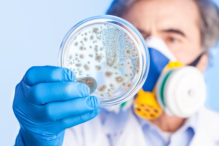 Infectologistas alertam para riscos de contaminação bacteriana na Flórida