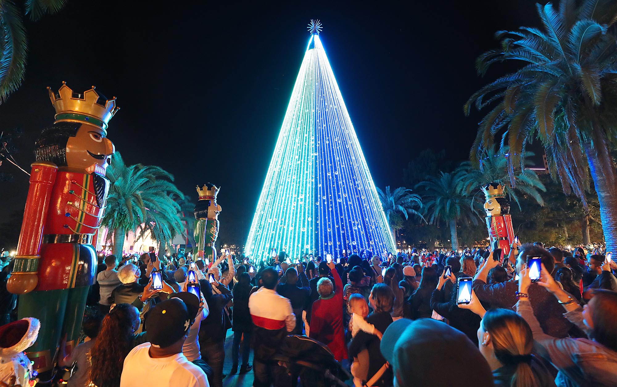 Aplausos e magia na iluminação da árvore de Natal de Lake Eola em Orlando