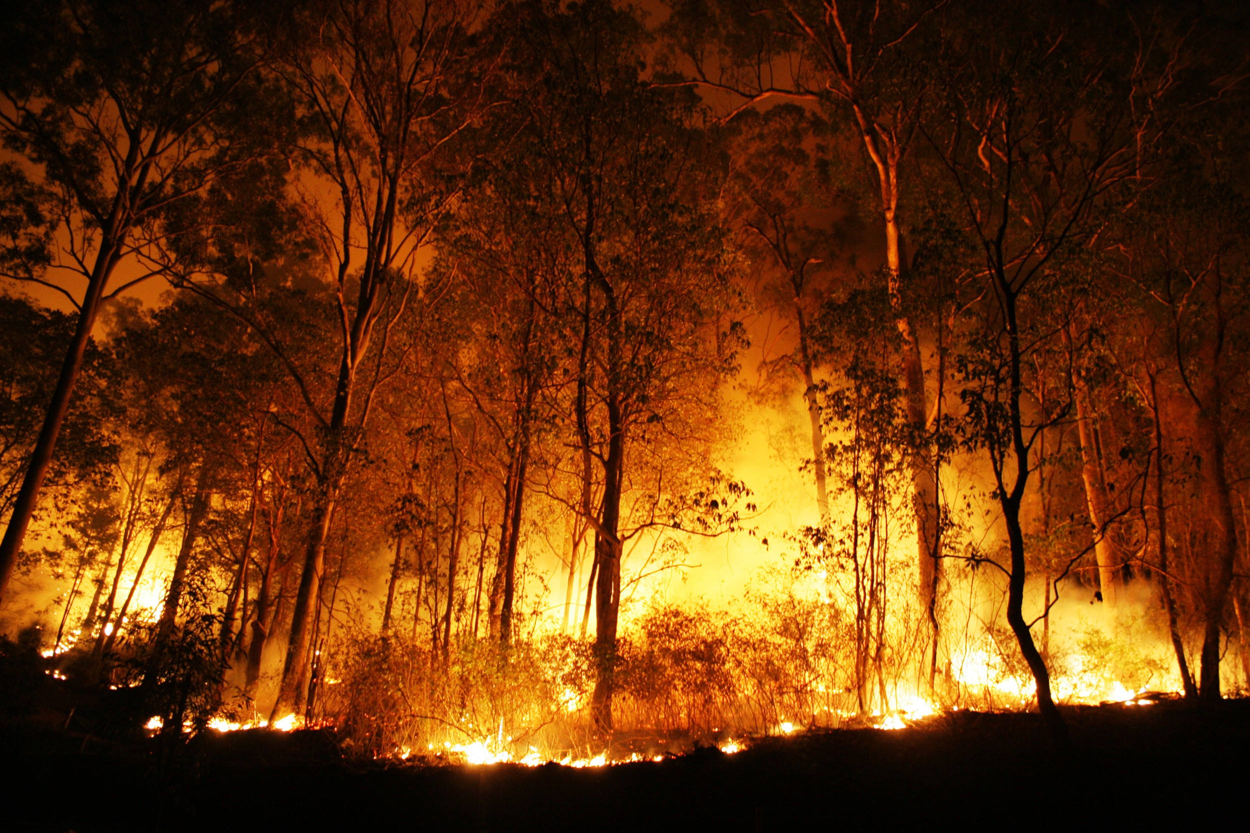 Incêndios florestais no Havaí deixam pelo menos 36 mortos; alerta de perigo
