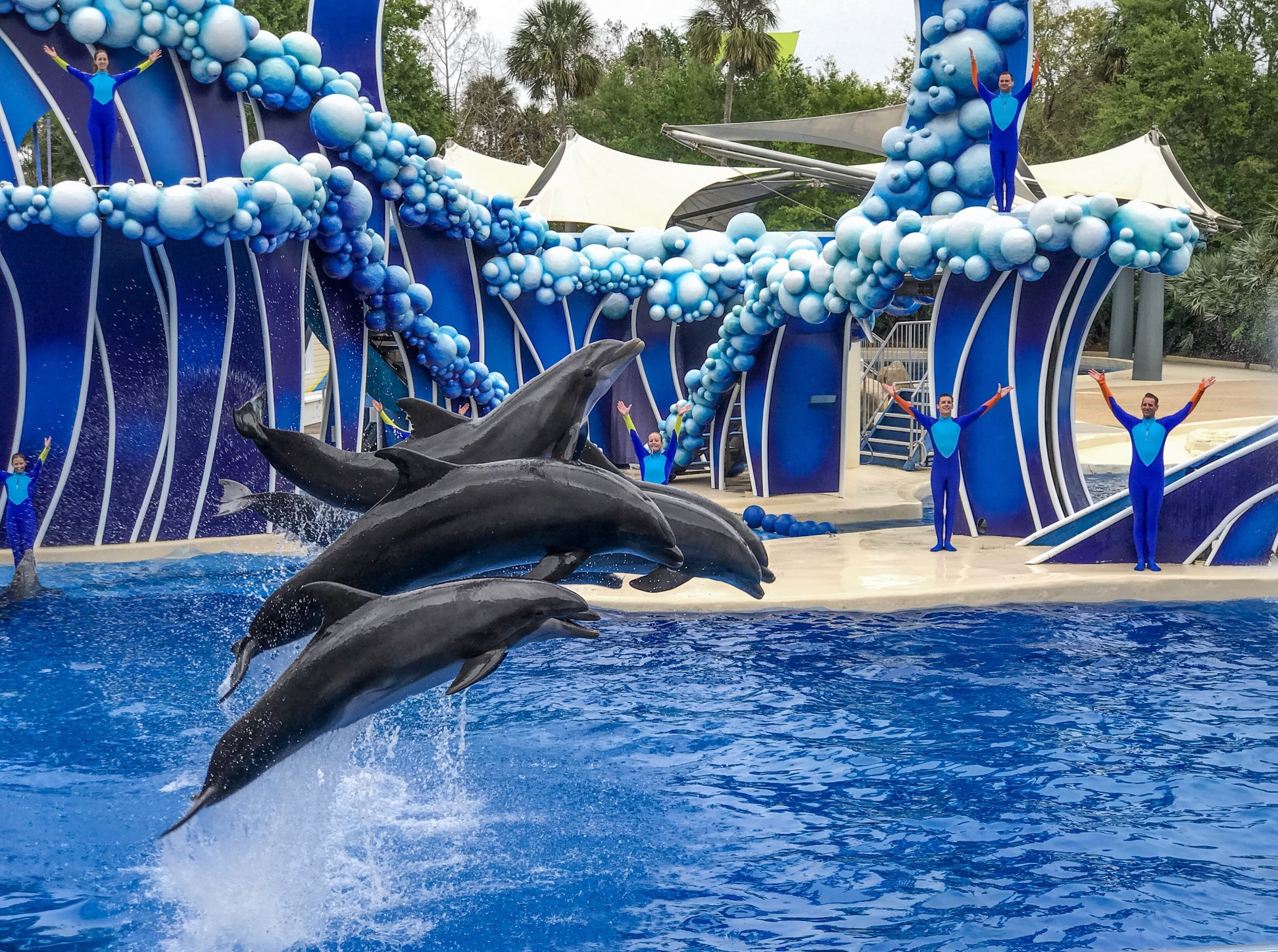 ‘SeaWorld Orlando’ tem programação especial para a chegada do Ano Novo