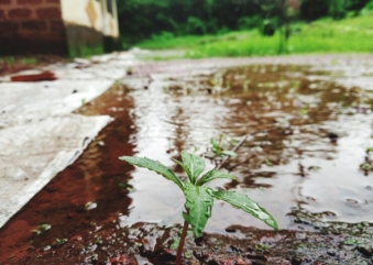 ‘Estamos em apuros’, denunciam moradores de Osceola que sofrem com inundações