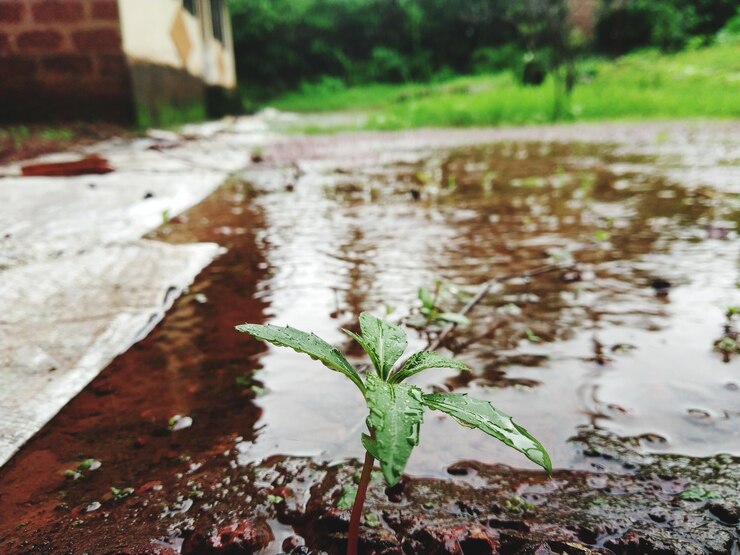 ‘Estamos em apuros’, denunciam moradores de Osceola que sofrem com inundações