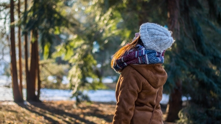 Orlando recebe geadas intensas e o frio mais forte do ano