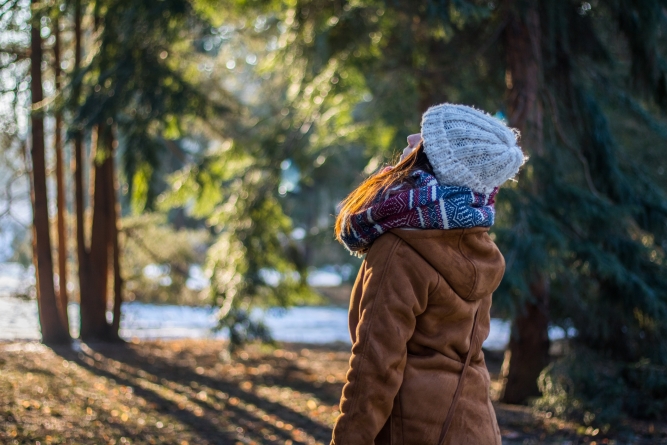 Orlando recebe geadas intensas e o frio mais forte do ano