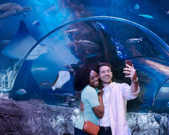 LEGOLAND inaugura aquário com túnel subaquático e mais de 3 mil animais em junho