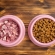 FDA emite recall de rações para cães e gatos por risco de contaminação por salmonela