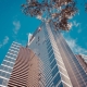 Biblioteca de Trump promete mudar o skyline e impulsionar turismo em Miami