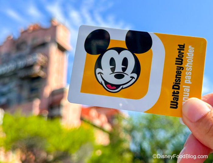 Disney reduz entrada do&nbsp;Annual Pass&nbsp;para apenas USD $99 para moradores da Flórida