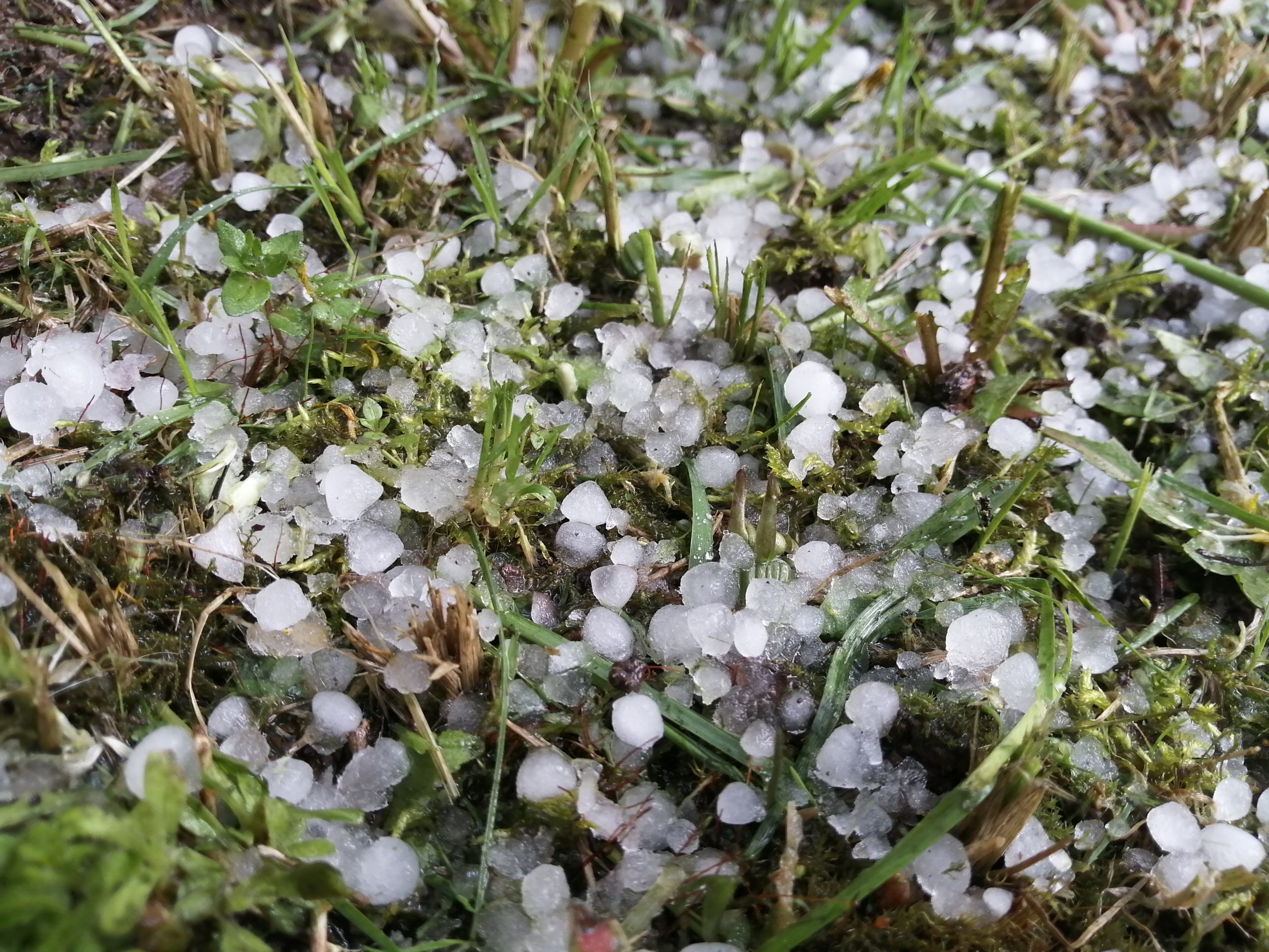Granizo surpreende moradores na Flórida após sequência de tempestades severas e reforça alerta para clima extremo