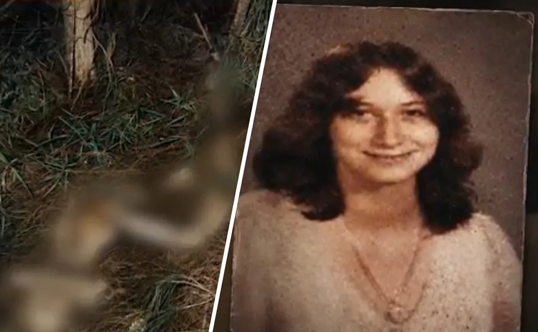 DNA resolve mistério de 43 anos: adolescente encontrada morta nos Everglades finalmente é revelada